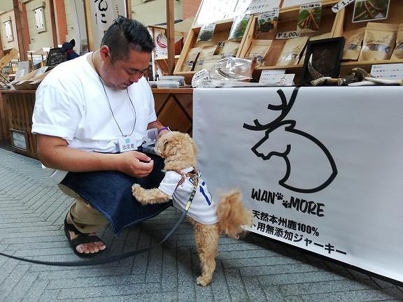 WAN🐾MORE、WAJIFUDOU 作品6