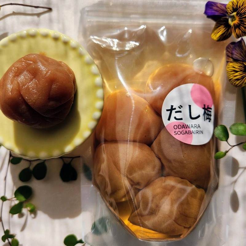 飯島清太郎商店 作品2