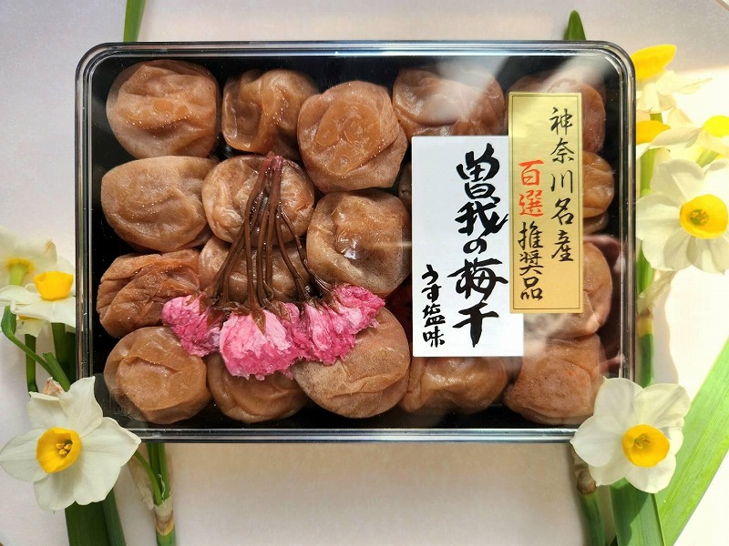 飯島清太郎商店